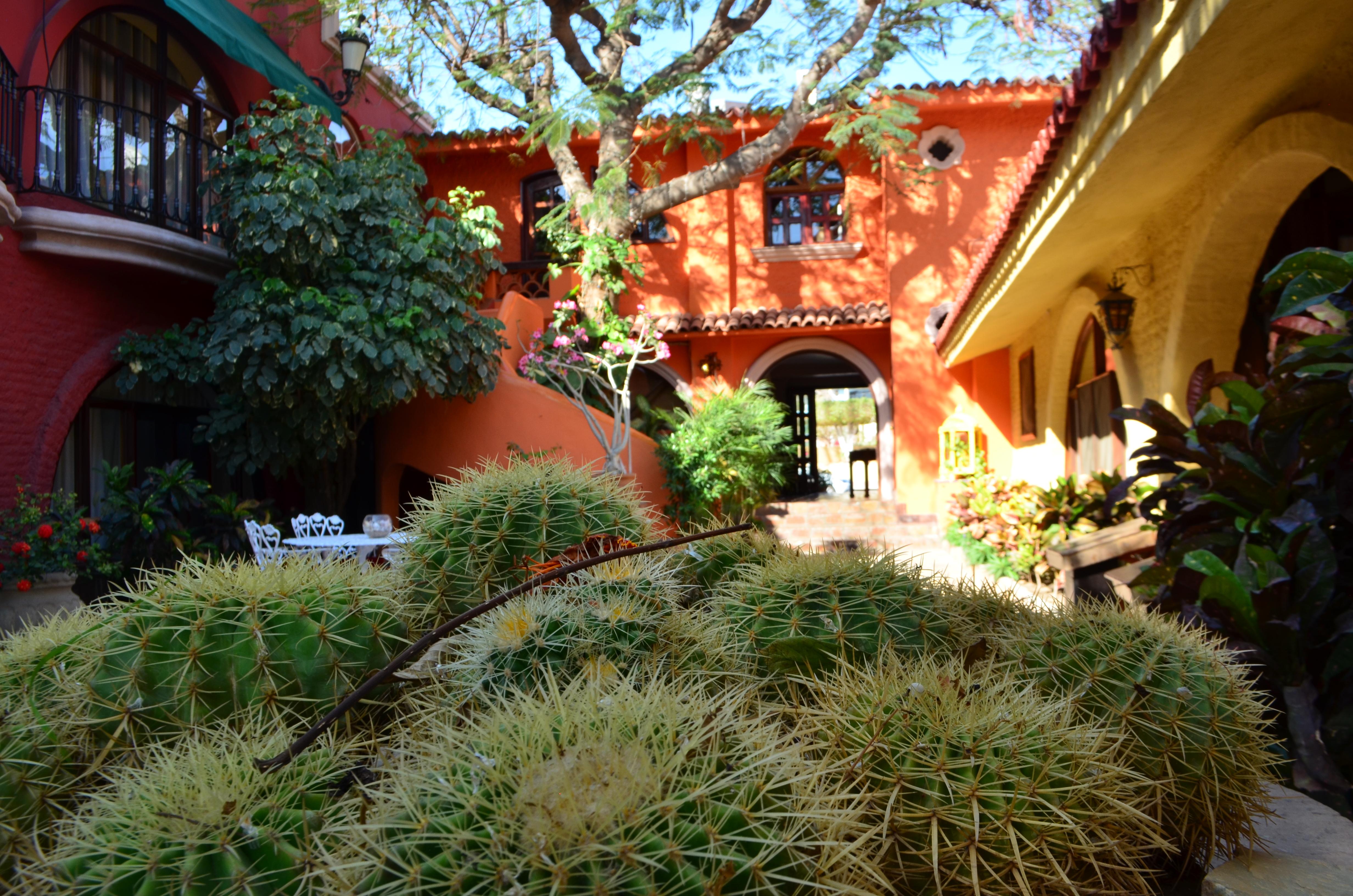 Collection O Casa Bella Hotel Boutique, Cabo San Lucas Exterior foto